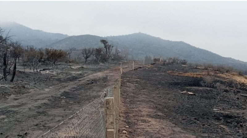 Lograron contener el incendio forestal en Papagayos