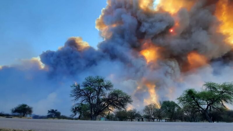 Los incendios forestales aquejan el norte provincial