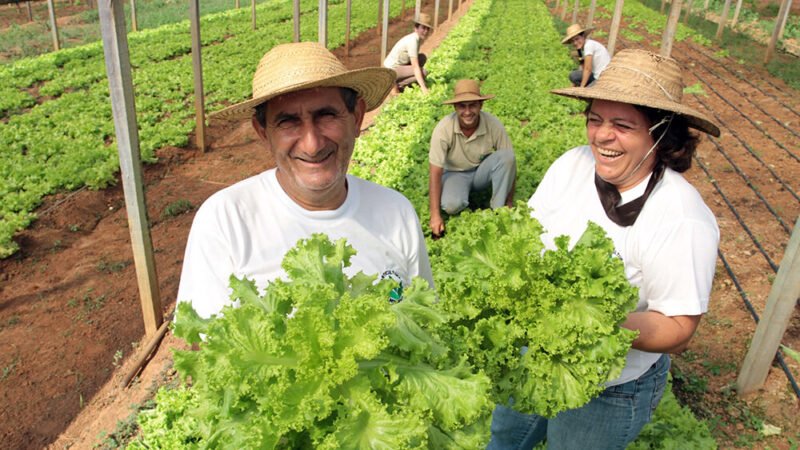 Comienza el Foro Provincial de Agricultura Familiar, Campesina e Indígena