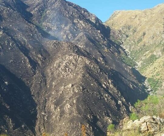 Un incendio accidental en Los Molles arrasó con 6 hectáreas de monte