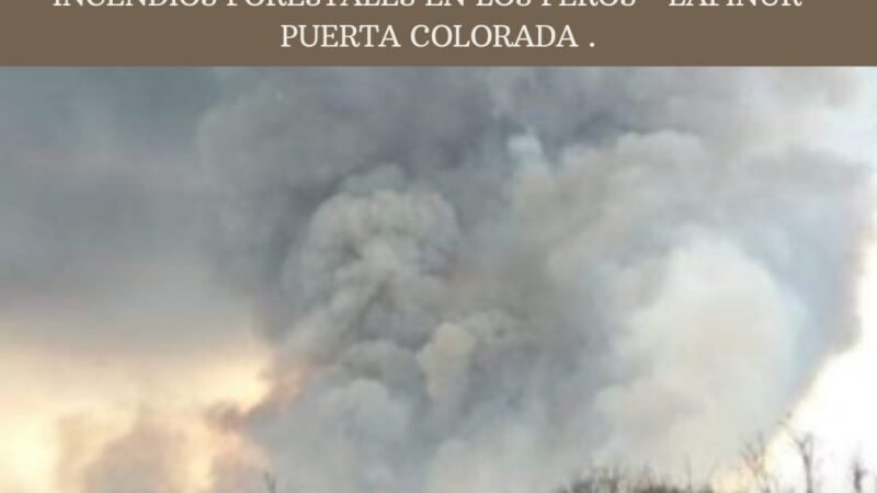 Incendios forestales: extinguieron focos en Toro Negro y Los Cajones