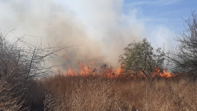 IMPORTANTE INCENDIO EN LA ZONA SUR DE LA CIUDAD