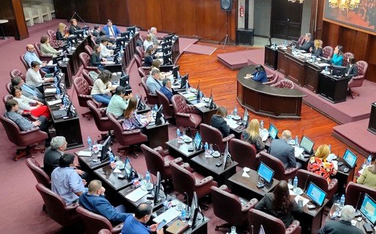 DIPUTADOS LE DIO MEDIA SANCIÓN A LA LEY DE LEMAS