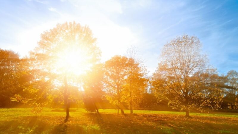 ANTICIPAN UNA SEMANA CON TEMPERATURAS SUPERIORES A LOS 30° PARA LA PROVINCIA