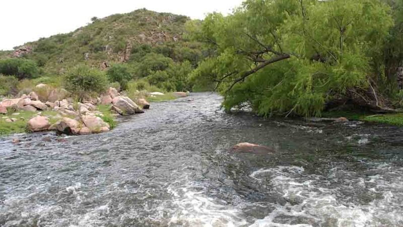 UN HOMBRE FALLECIÓ LUEGO DE CAER A UN RÍO EN SAUCE VIEJO