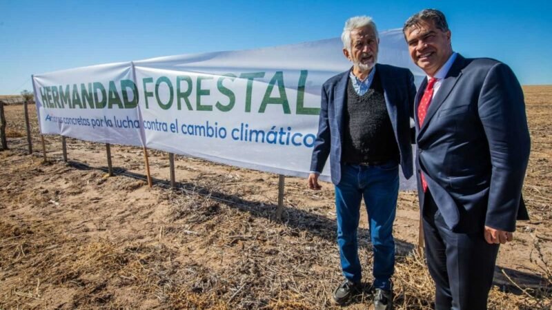 SAN LUIS ES LA SEGUNDA PROVINCIA QUE MENOS HECTÁREAS FORESTÓ