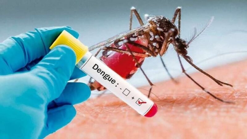 CONFIRMARON OTROS CINCO CASOS DE DENGUE EN SAN LUIS