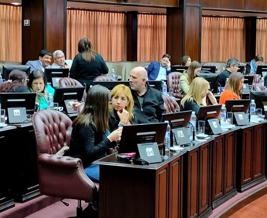 EN LA DÉCIMA SESIÓN DEL AÑO, DIPUTADOS CONFORMÓ LAS COMISIONES DE TRABAJO 2023