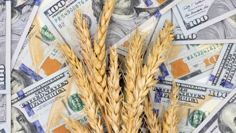 EL GOBIERNO AMPLIÓ EL DÓLAR DIFERENCIAL PARA EL AGRO AL RESTO DE LAS EXPORTACIONES