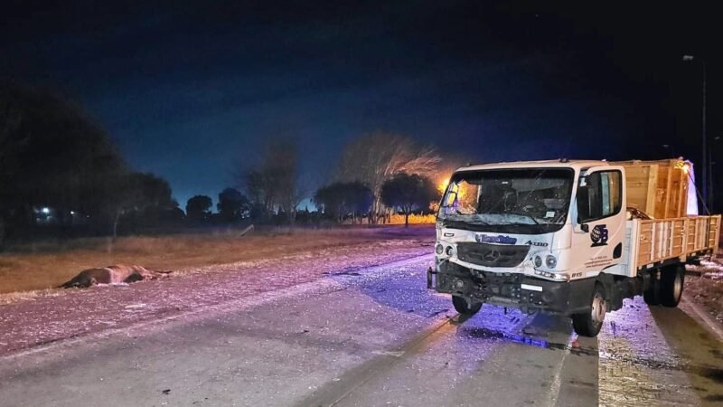 UN CAMIÓN EMBISTIÓ A DOS CABALLOS EN LA AUTOPISTA DE LAS SERRANÍAS PUNTANAS