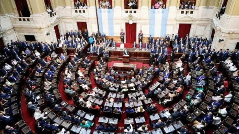 GOBIERNO ENVIÓ A LA CÁMARA DE DIPUTADOS UN PROYECTO PARA BAJAR LA IMPUTABILIDAD A 13 AÑOS