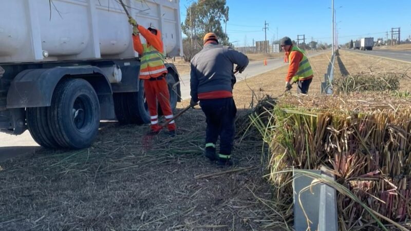 CONTINÚA LA PODA PARA MEJORAR LA VISIBILIDAD EN LA AUTOPISTA SERRANÍAS PUNTANAS