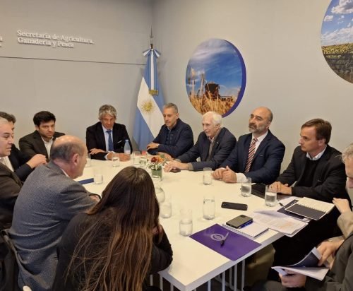 SAN LUIS ALBERGARÁ EL 1° ENCUENTRO REGIONAL DEL CONSEJO FEDERAL AGROPECUARIO CUYO DE 2024