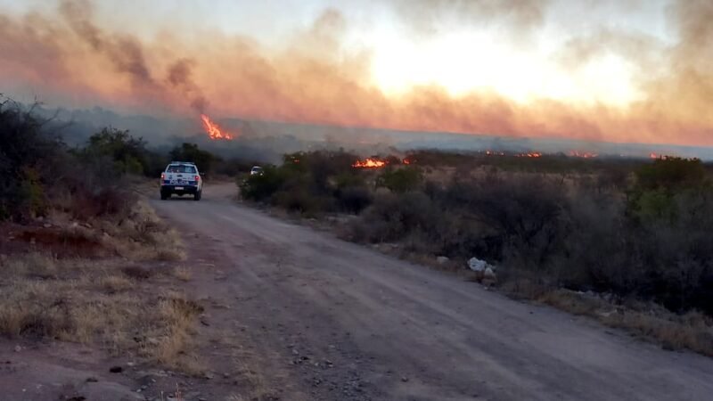 COMBATEN UN INCENDIO FORESTAL EN CERCANÍAS DE LA ESTANCIA ‘LAS TRES ESQUINAS’