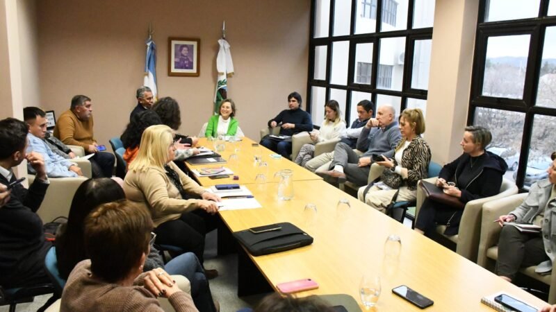 DIPUTADOS RECIBIÓ A LA MINISTRA DE SALUD PARA CONTINUAR EL TRABAJO EN LA LEY DE CARRERA SANITARIA