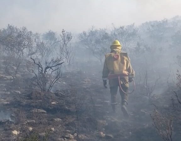 BOMBEROS Y BRIGADISTAS CONTUVIERON EL INCENDIO DE PASO GRANDE Y LAS VERTIENTES