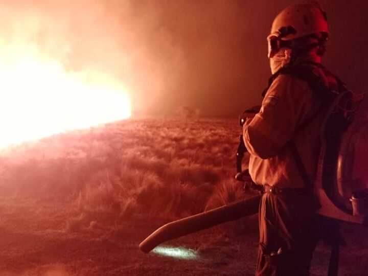 YA HAY DETENIDOS POR LOS INCENDIOS EN EL PARAJE BALCARCE Y EN DONOVAN