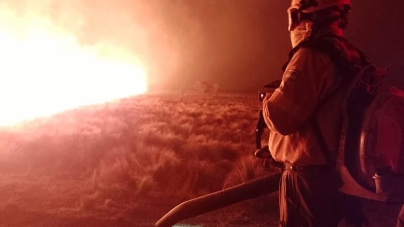 YA HAY DETENIDOS POR LOS INCENDIOS EN EL PARAJE BALCARCE Y EN DONOVAN