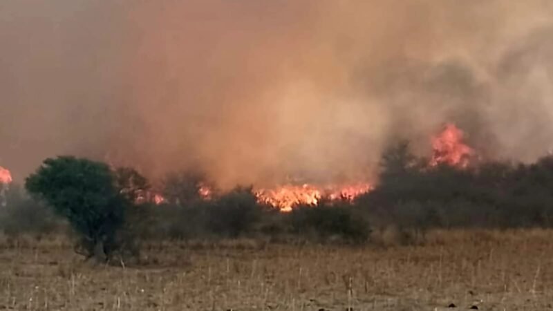 INCENDIOS: QUEDA UN FOCO ACTIVO EN QUINES Y UNA GUARDIA DE CENIZAS EN EL DEPARTAMENTO SAN MARTÍN