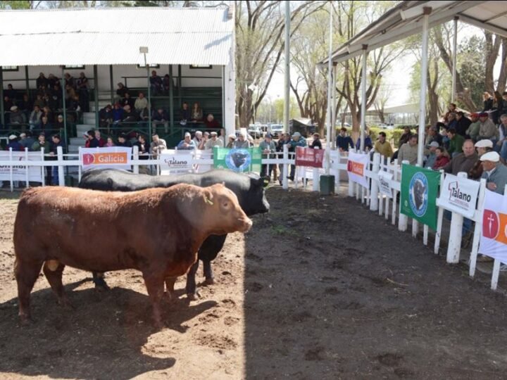 SE VIENE LA  93° EXPO RURAL PRODUCTIVA 2024