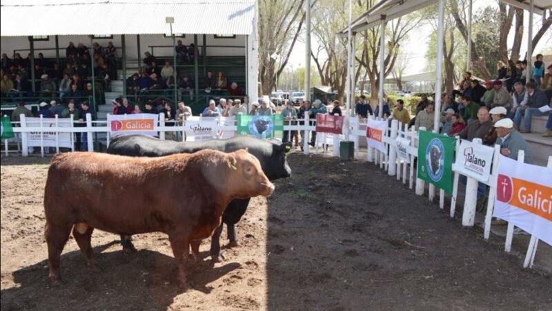 SE VIENE LA  93° EXPO RURAL PRODUCTIVA 2024