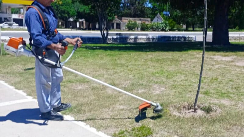 REALIZAN DESPARASITACIONES Y CALCIFICACIONES EN ZONAS RURALES DE SAN LUIS