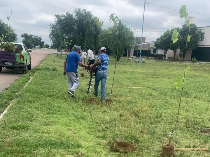 CONCLUYÓ LA FORESTACIÓN EN CERCANÍAS DEL BARRIO LA RIBERA DE VILLA MERCEDES