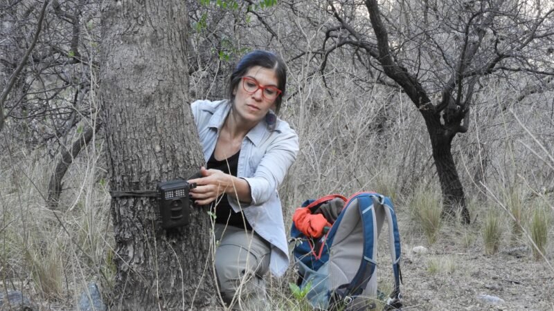 LA PROVINCIA CONSIGUIÓ FINANCIAMIENTO INTERNACIONAL Y FEDERAL PARA CONSERVACIÓN Y CUIDADO AMBIENTAL