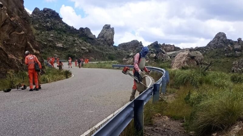 VIALIDAD PROVINCIAL REPARÓ CAMINOS, COLOCÓ CARTELERÍA Y REALIZÓ DESMALEZADO EN EL INTERIOR