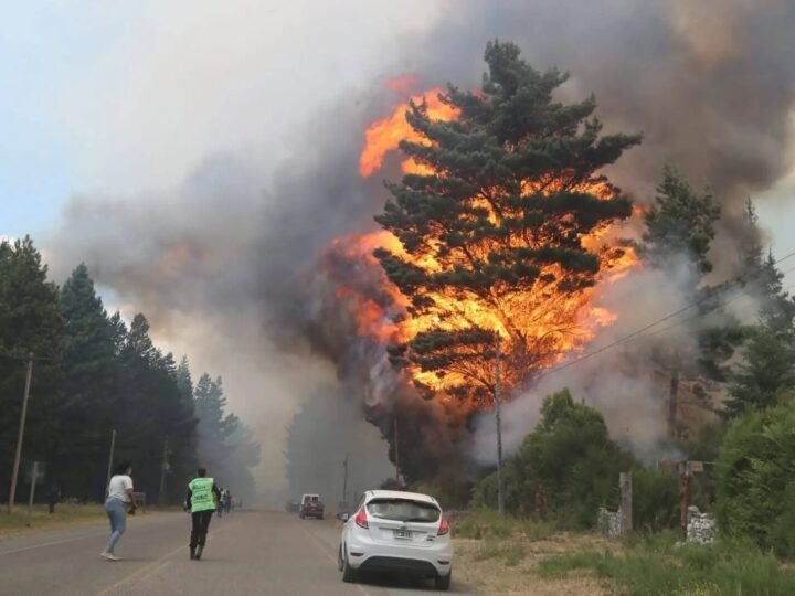 AVANZA EL INCENDIO FORESTAL EN EPUYÉN: EL GOBIERNO EVACUÓ A 200 VIVIENDAS Y DECLARÓ LA EMERGENCIA