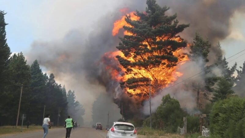 AVANZA EL INCENDIO FORESTAL EN EPUYÉN: EL GOBIERNO EVACUÓ A 200 VIVIENDAS Y DECLARÓ LA EMERGENCIA