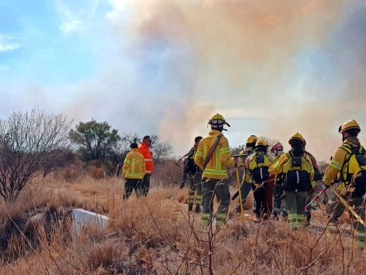 ALERTAN POR UN ALTO RIESGO DE INCENDIOS FORESTALES EN SAN LUIS