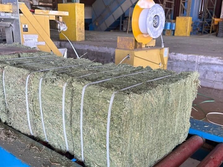 EL GOBIERNO CONCRETÓ UN NUEVO ENVÍO AL EXTERIOR DE ALFALFA PRODUCIDA EN CAMPO PROPIO