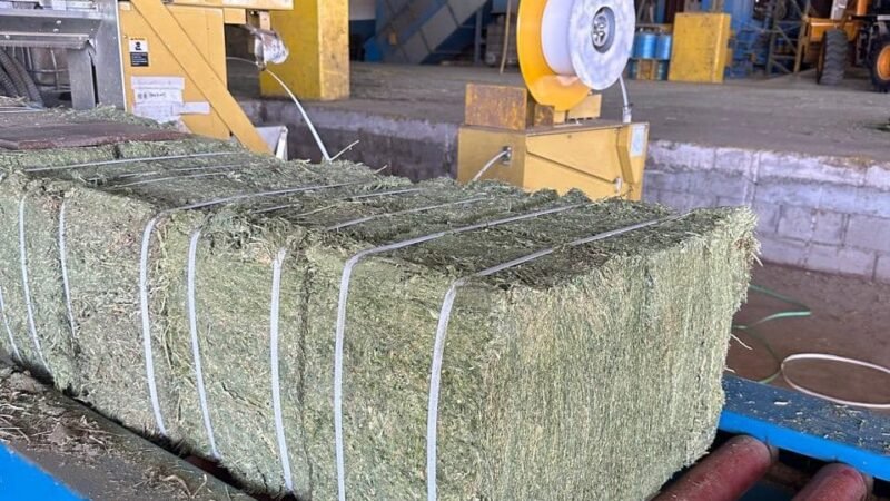 EL GOBIERNO CONCRETÓ UN NUEVO ENVÍO AL EXTERIOR DE ALFALFA PRODUCIDA EN CAMPO PROPIO