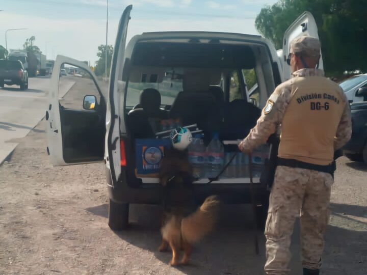 POLICÍAS DE SAN LUIS Y MENDOZA, CON GENDARMERÍA, HICIERON UN OPERATIVO DE CONTROL EN LA RUTA 7