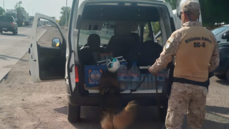 POLICÍAS DE SAN LUIS Y MENDOZA, CON GENDARMERÍA, HICIERON UN OPERATIVO DE CONTROL EN LA RUTA 7