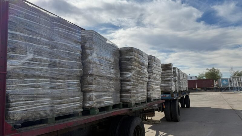 HITO EN LA EXPORTACIÓN: SAN LUIS CONCRETÓ EL PRIMER ENVÍO DE ALFALFA ARGENTINA A GHANA