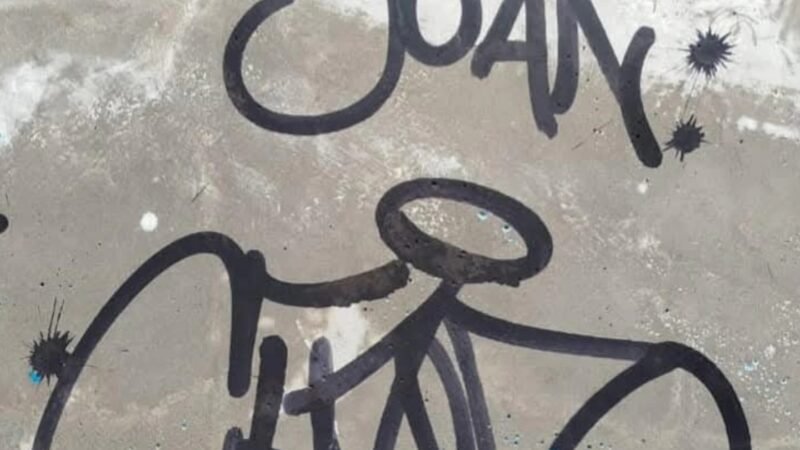 TURISTAS VANDALIZARON EL DIQUE LUJÁN Y LA POLICÍA IDENTIFICÓ A LOS POSIBLES RESPONSABLES