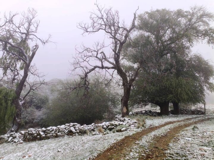 SORPRESA BLANCA: LA NIEVE PINTÓ LOS PAISAJES SERRANOS DE SAN LUIS EN PRIMAVERA