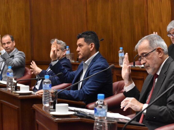 EL SENADO CONVIRTIÓ EN LEY EL PRESUPUESTO 2026