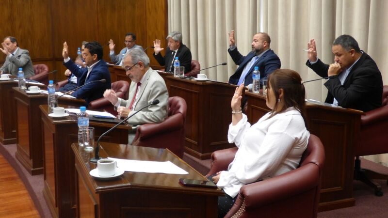 MEDIA SANCIÓN AL PROYECTO QUE REGULA EL DECOMISO ANTICIPADO Y DEFINITIVO DE ARMAS DE FUEGO