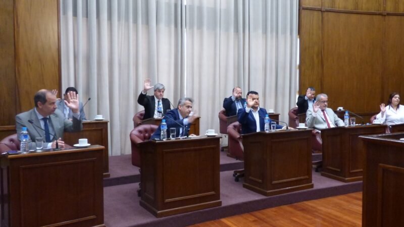 AVANZA EL PROYECTO DE LEY QUE DECLARA EL 2026 COMO EL ‘AÑO DE LA EDUCACIÓN’ EN SAN LUIS