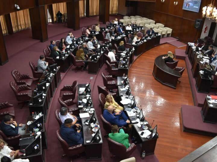 DIPUTADOS DIO MEDIA SANCIÓN AL PROYECTO DE LEY IMPOSITIVA ANUAL 2026