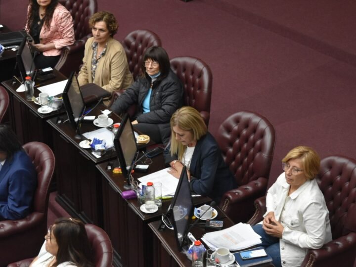 SANCIONARON LA LEY QUE HABILITA LA DISPOSICIÓN DE VEHÍCULOS ABANDONADOS O SECUESTRADOS