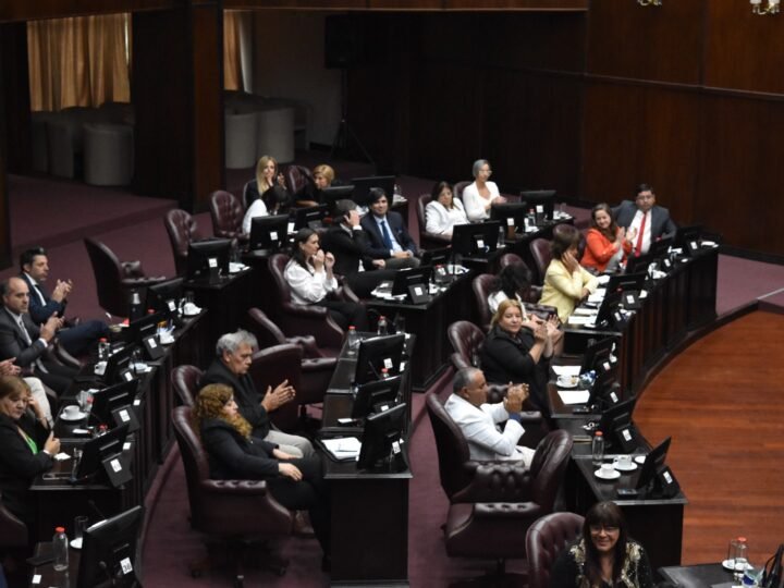 ES LEY EL PROYECTO QUE REGULA EL DECOMISO DE ARMAS DE FUEGO