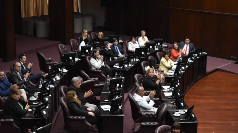 ES LEY EL PROYECTO QUE REGULA EL DECOMISO DE ARMAS DE FUEGO