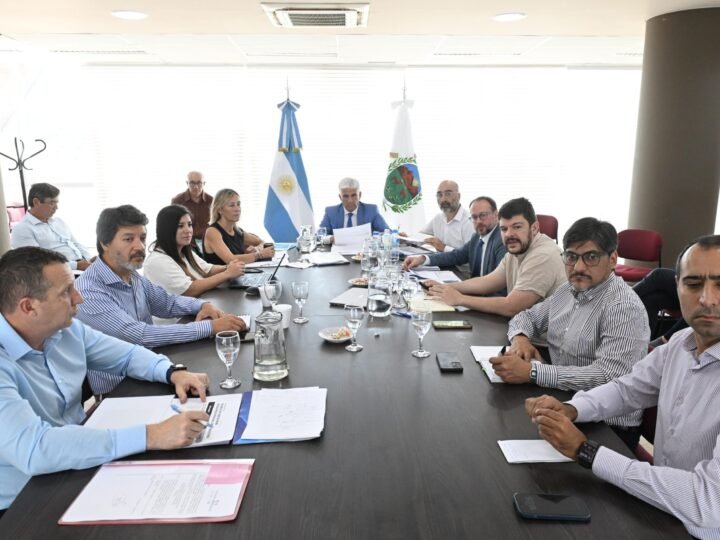 SAN LUIS AVANZA EN LA ELABORACIÓN DE UN PLAN QUE PROMUEVE LA DIVERSIFICACIÓN DE SU MATRIZ PRODUCTIVA