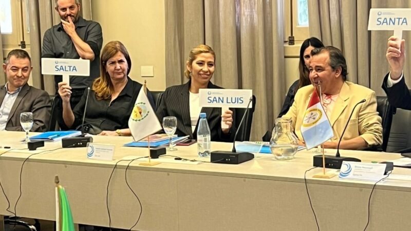 SAN LUIS PARTICIPÓ DEL XVI ASAMBLEA GENERAL ORDINARIA DEL CONSEJO FEDERAL PARA LA TRANSPARENCIA