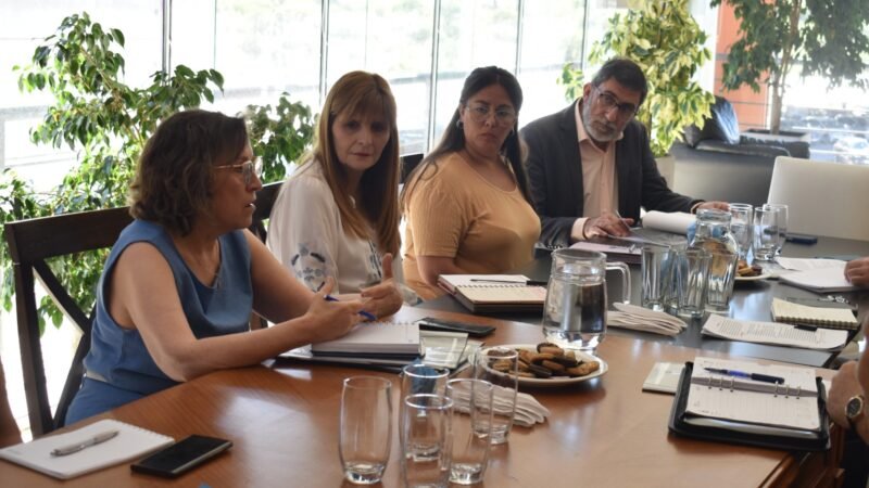 REALIZARON LA PRIMERA REUNIÓN INTERMINISTERIAL PARA TRABAJAR SOBRE LA PREVENCIÓN DEL SUICIDIO