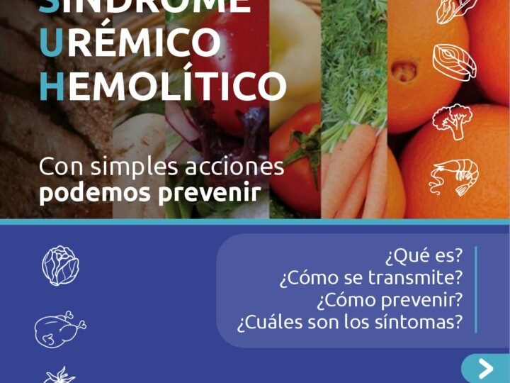 LANZAN RECOMENDACIONES PARA PREVENIR EL SÍNDROME URÉMICO HEMOLÍTICO (SUH)